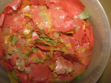Color enhancing flake / Farbeunterstützendes Flockenfutter Packung 5kg