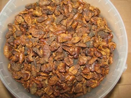 Silkworm pupae Seidenraupen sonnengetrocknet Packung 0,5 L (160g)