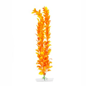 JK Orange Ludwigia größ 38 - 43 cm
